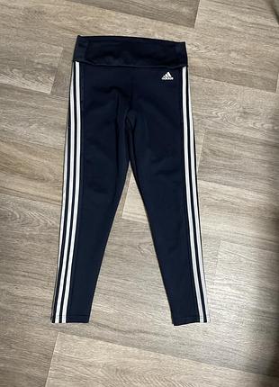 Лосіни adidas m /12-14/38-40