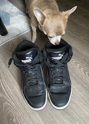 Кеди puma зимові, демісезон