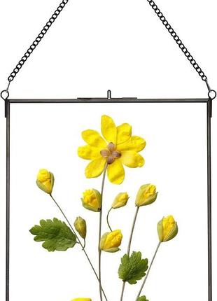 Рамка для засушених квітів подвійне скло латунна з ланцюжком прямокутна 25,4×20,3 см