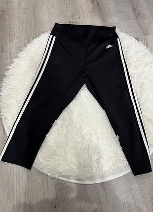 Велосипедки adidas