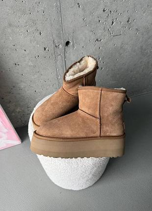 Угги угг уггі ugg mini platform chestnut