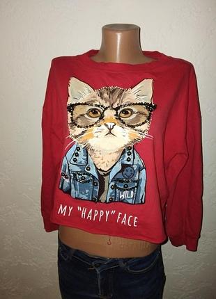 Стильний світшот з котиком