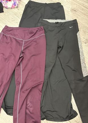 Лосіни,бріджі