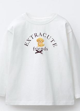 Реглан zara  оригінал  92/98/104/110/116