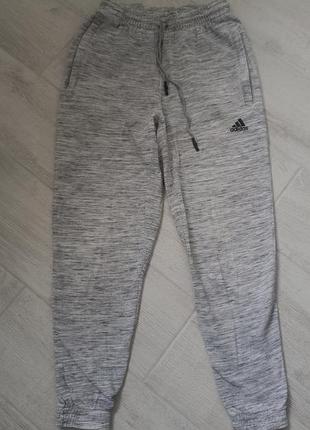 Спортивні штани adidas