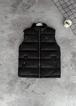 Мужская теплая жилетка dior