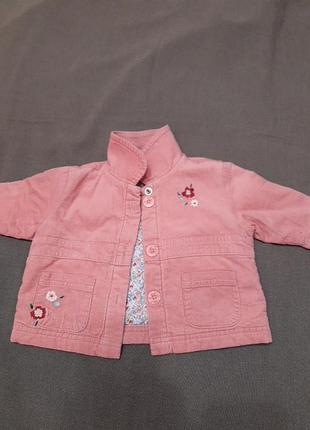 Куртка ,,genuine " baby дитяча ,вельветова,утеплена, натуральна,рівного крою ,демісезон,дівчинці 6міс/65-68см.
