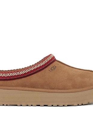 Жіночі капці на платформі ugg tazz