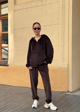 Базовий велюровий спортивний костюм кофта на змійці і штани