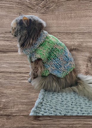 В'язані светри для котів, собак