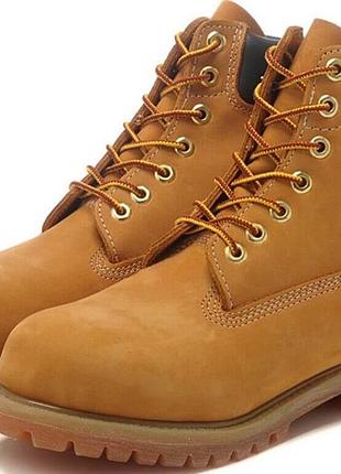 Культові водонепроникні черевики timberland 6-inch premium