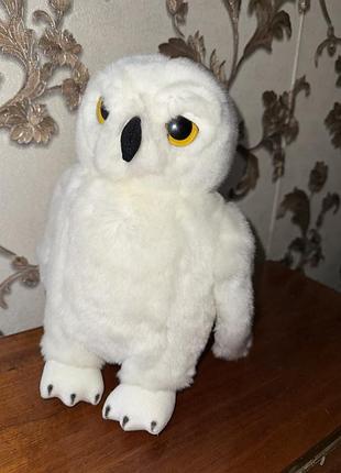 Сова гаррі поттер