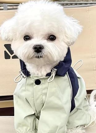 Комбінезон на собачку розмір xxl (розмірна сітка є на фото)