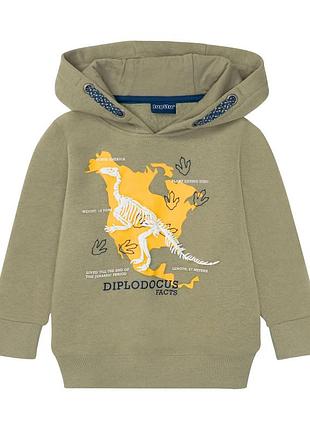 Утепленная кофта толстовка худи sinsay на мальчика / начос / 35405