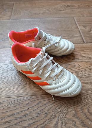 Бутси кросівки