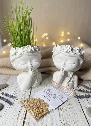 Набор прорость зернёнку кашпо для прорастания набор украиночка