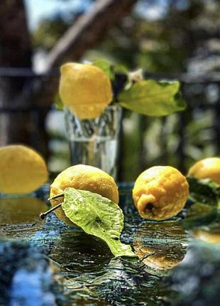 Алмазная мозаика "свежие лимоны на стеклянной поверхности", 40*50см, на рамке, в кор.41*51*2,5см, тм dreamtoys