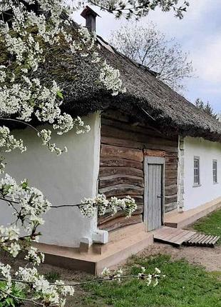 Алмазная мозаика "украинская весна", 30*40см, на рамке, в кор.31*41*2,5см, тм dreamtoys