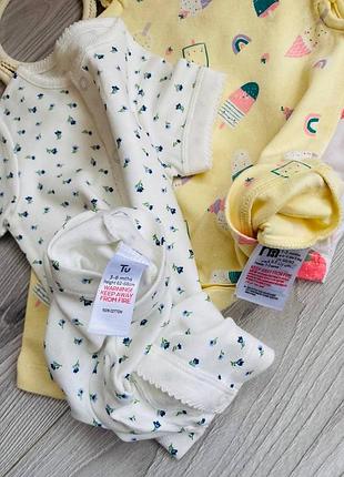 Пісочник літній 3