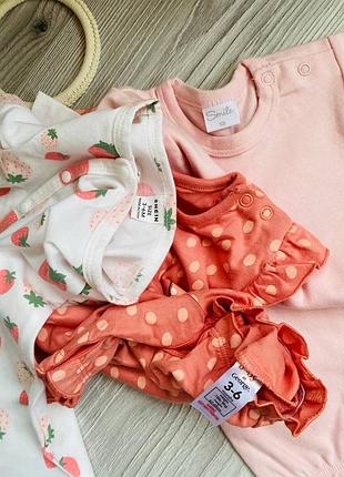 Пісочник літній 5