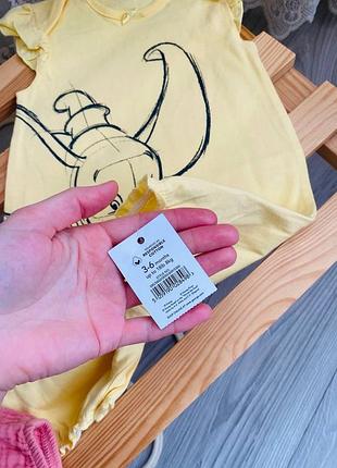 Пісочник літній 10