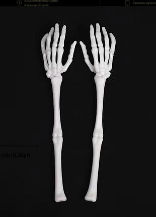 Руки, кисті скелета до ліктя 2шт=1пара 32см анатомічні сувенір декор