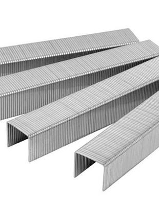 Скоба титул - 10 x 0,7 x 11,3 мм (1000 шт.)