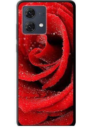 Чехол tpu на телефон motorola moto g84 красная роза "529b-3344-58250"