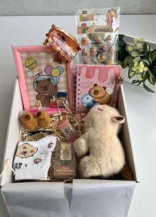 Подарунковий бокс з милою капібаркою