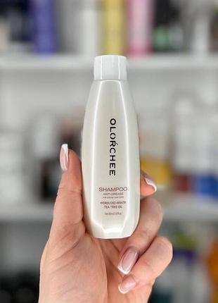Шампунь для жирных волос olorchee anti grease shampoo 80 мл