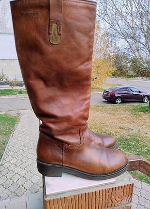 Чоботи napapijri натуральна шкіра