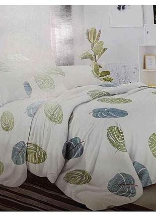 Комплект постільної білизни євро (2нав 50х70) pl арт.n 240040-5 полістер тм timetosleep