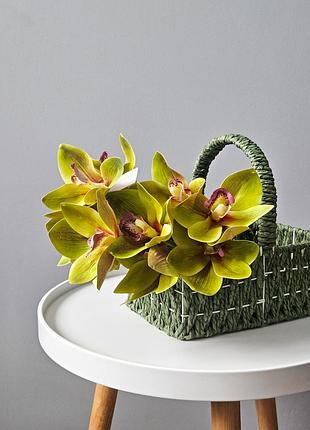 Латексная орхидея, орхидея цимбидиум