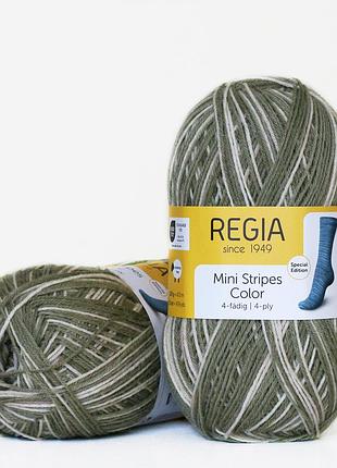 Шкарпеткова пряжа regia color 100 г, 00339