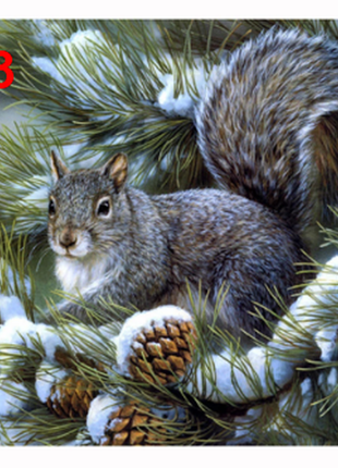 Алмазна мозаїка, набори 5d картина зі стразами білка