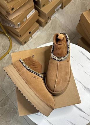 Жіночі коричньові угги на платформі таз тасман ugg tazz tasman