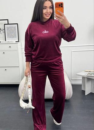 Велюровый костюм с накатом alo, сезон весна-осень, размер 42/46, 48/52, цвет шоколад, мокко, черный, графит