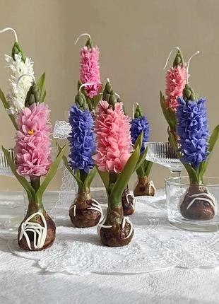 Свеча гиацинт