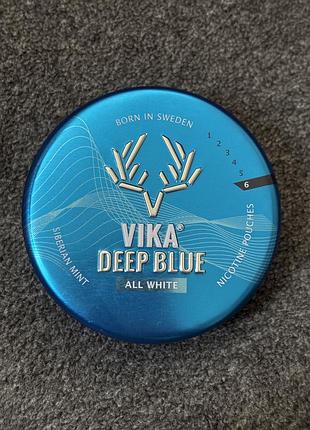 Залізний кейс vika