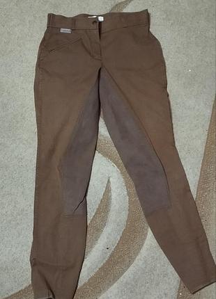 Штани для кінного спорту !