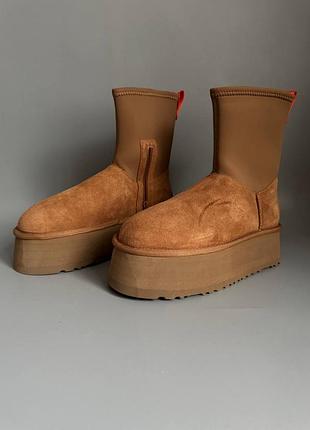 Уцінка уггі ugg classic dipper chestnut