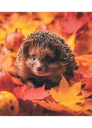 Алмазная картина осень в колючках sk88227 тм strateg