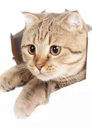 Декоративная наклейка на стену на туалет кот с лапкой 26*17 см наклейка кот