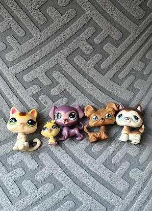 Lps, петшоп
