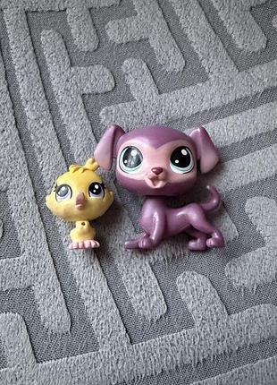 Lps, петшоп 4