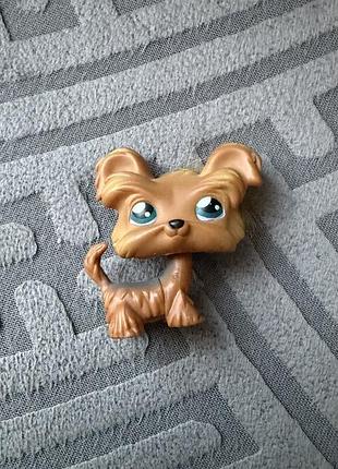 Lps, петшоп 6