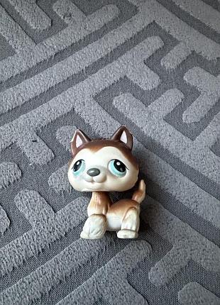 Lps, петшоп 8
