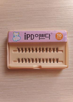 Пучкові вії + клей