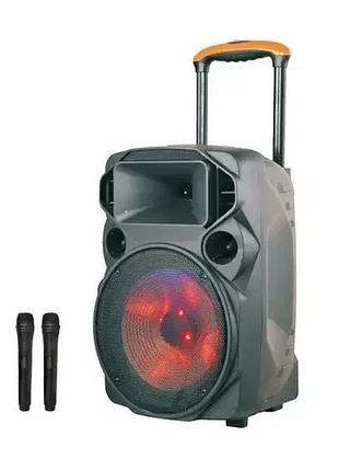 Портативна колонка із двома радіомікрофонами su‑kam su615