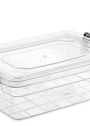 Контейнер violet house 0458 family box, 0.65 л (6768546)